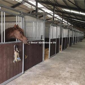 System for mechanical manure removal