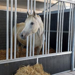 voederwanden in stal met middengang