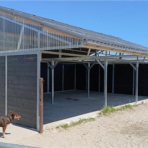 Shelter stable