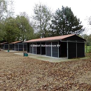 Shelter stable