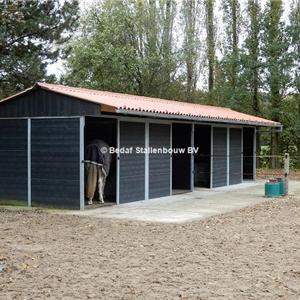 Shelter stable