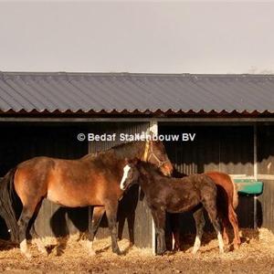 Shelter stable