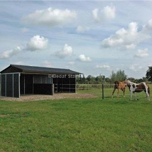 Shelter stable