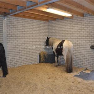 Shelter stable