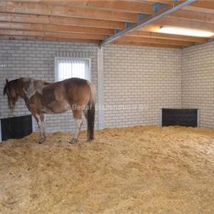 Shelter stable