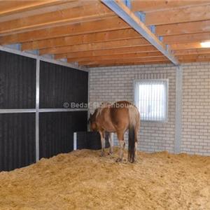 Shelter stable