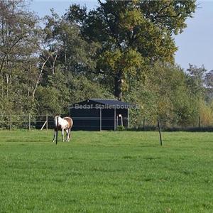 Shelter stable