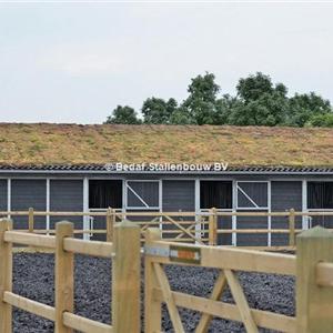 Outdoor stables