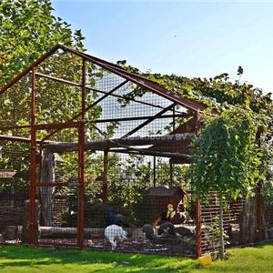 Storage room and Carport