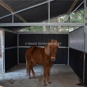 Shelter stable