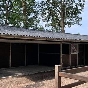 Shelter stable