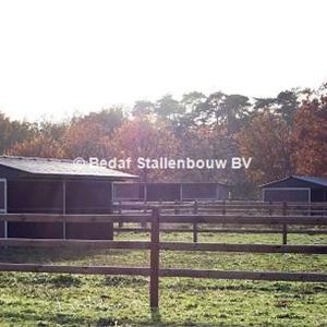 Shelter stable