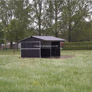 Shelter stable