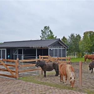 Shelter stable