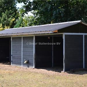 Shelter stable