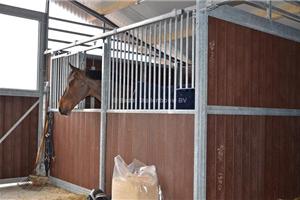 paardenstallen en quarantaine vakken