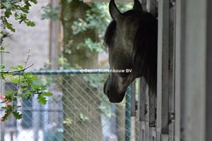 aanbouw paardenstal