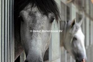 aanbouw paardenstal