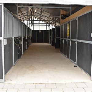 paardenboxen in stal met middengang