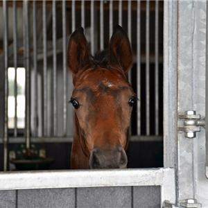 paardenstal met middengang