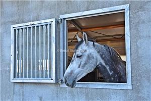 buitenluik gelaagd glas en spijlen