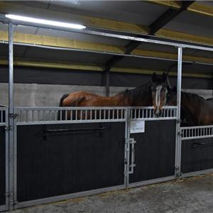 paardenstallen BEDAF Stallenbouw BV