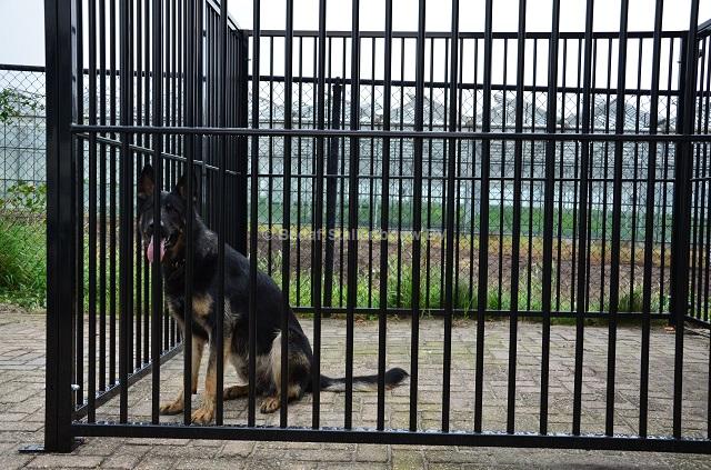 buitenkennel gecoat
