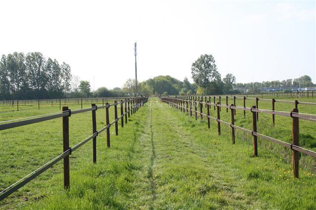 hippo safety fence