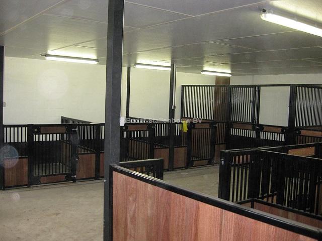 binnenkennel gecoat